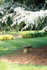 Garden Image