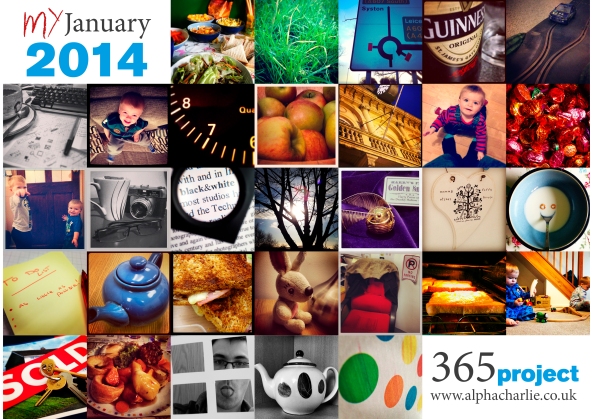 365 Project - January 2014